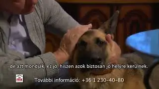 Idén is munkába álltak a REX-futárok