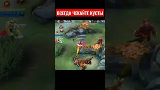 ВСЕГДА ПРОВЕРЯЙТЕ КУСТЫ! 