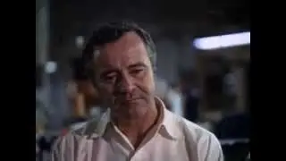 Save the Tiger (1973)