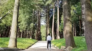 [Solitary Trip] VLOG) Go to the secret forest where you've been sleeping for 79 years