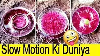 Slow motion video 😨 slow motion ki Duniya 🙄 slow motion world 😳 How things work in slow motion 😍😎