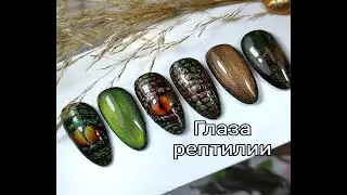 Глаза рептилии🦎🐍/Reptile eyes🦎