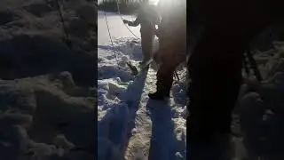 зимняя рыбалка на паук 30.01.2021