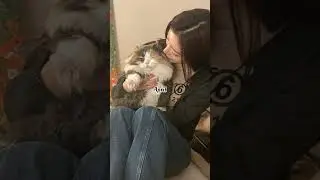 animal lover are born in (no hate)❤️#short