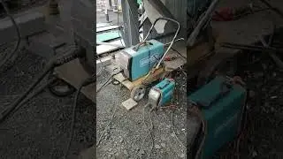Гроверс не кедр