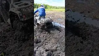 застрял в болоте
