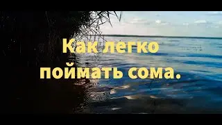 Ятерь для ловли крупного сома.