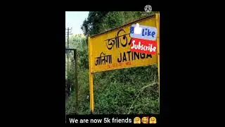 Jatinga The Bird Mystery solved || kirthic media
