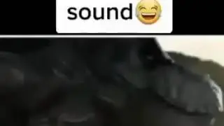 I might make a new YT channel