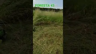 Мотокосою 8 соток за годину