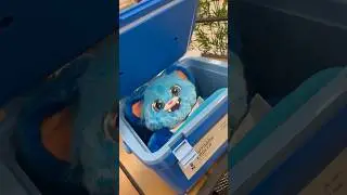 Who did this?!?! 🤣 #target #scary #creepy #stanley #prank #pranks #prankvideo #jumpscare #viral