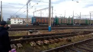 Китаю наш Лес ,Друзьям из Поднебесной!