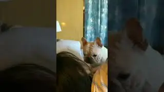 The way puppy loves me 