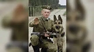 С ДНЕМ ПОГРАНИЧНИКА 28 МАЯ КРАСИВОЕ МУЗЫКАЛЬНОЕ ПОЗДРАВЛЕНИЕ