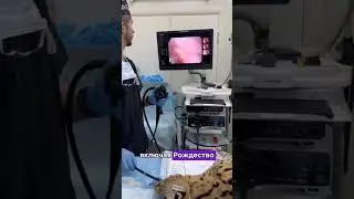 Другого дома у него нет, живёт в операционной