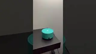 Серая птичка