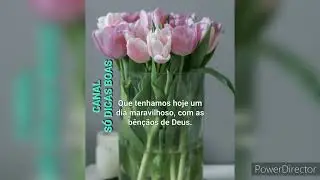 Mensagens para compartilhar