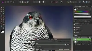 Affinity Photo im Vergleich zu Photoshop