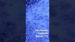 Bendigamos al Señor - Jaculatoria Cantada #musicacatolica #oracion #salmos