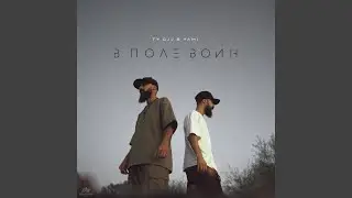 В поле воин (Remix)