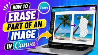 How To Erase Part Of An Image In Canva (Quick Guide)