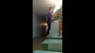 Сальтуха пластом