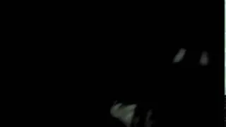 честно честно