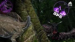 RETURN of the PURPLE NURPLE - Carnos nurp Stego