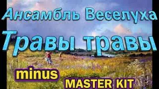 🎤автор минусовки MASTER KIT🎤Травы Травы🎤Анс. Веселуха🎤