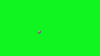 The Killer Rabbit Jumping (Green Screen)