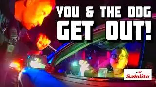 Polish Driver REFUSES to Exit Vehicle - What Happens Next?