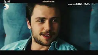AlSel's Story | PART 4 (FINAL)