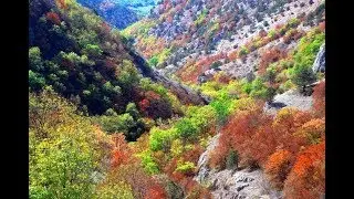 ОСЕНЬ В КРЫМУ🍁🍂🍃🥀💮🌸💐🌺