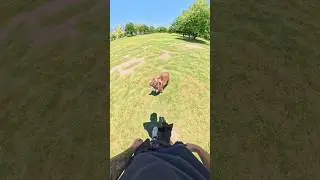 This is why you need full control of your dog