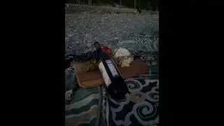 Вечера с женой должны быть только такими🌅🥰