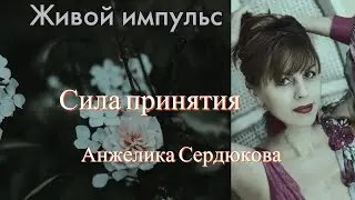Сила принятия. Анжелика Сердюкова
