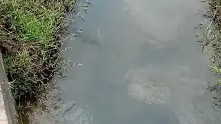 DESA KAMI AIR SUNGAI MELIMPAH GAESS.. JADI NGGAK ADA KEMARAU#fyp
