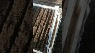 Начало посевной