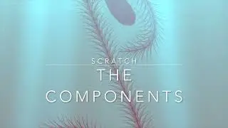 Scratch Components And Examples