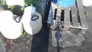 Первое окучивание картофеля. ( Тяпка курит )