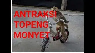 Antraksi topeng MONYET luar biasa, BIKIN KAGUM.