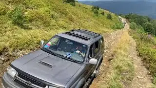 IMG 4806
