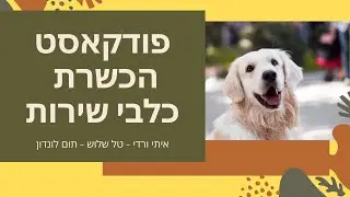 פרק 17 - איך לאלף כלב שירות / כלבי שירות | כל המידע על כלבי שירות עם טל שלוש איתי ורדי ותום לונדון