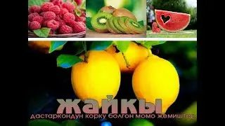 Жайкы Дастаркондун корку болгон  момо жемиштер / #kyrgyzyzstan