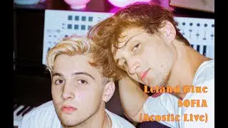 Leland Blue - Sofia [Acoustic Live]