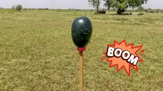 EXPERIMENT: will watermelon survive ?