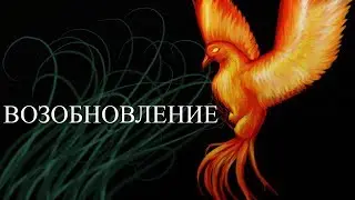 Возобновление в питании