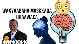 waxyaabaha Maskaxda dhaawaca iyo sida qalalku ku yimaado Dr.Gaboose @xogocaafimaad