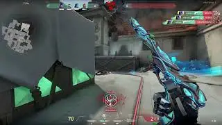 bite the dust