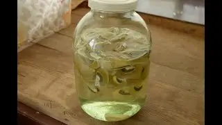 The Veselka mushroom, a herbalist's story + recipe for an infusion (tincture)